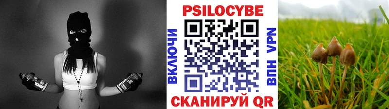купить наркотик  Азнакаево  Галлюциногенные грибы Psilocybe 